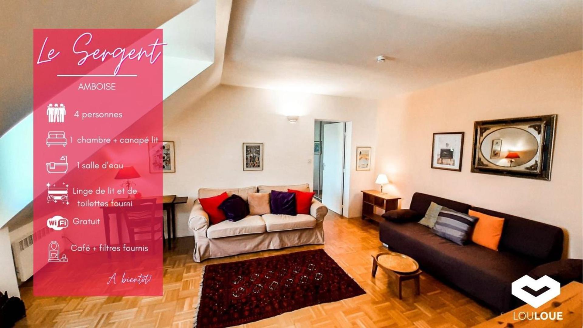 Spacious T2 Apt In City Center. Amboise Exteriér fotografie